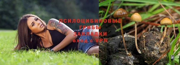сатива Алексеевка