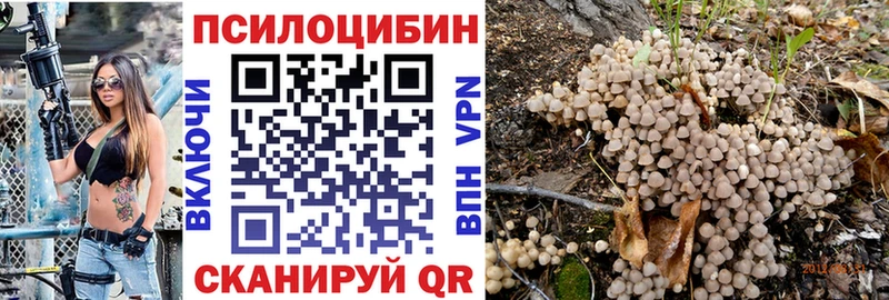 Псилоцибиновые грибы прущие грибы купить наркотики цена Боготол